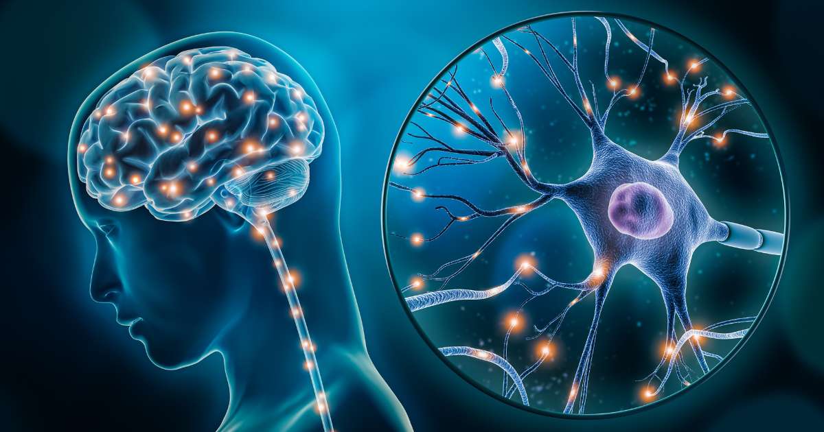 An image of the brain and neural networks in the brain for a blog about ketamine therapy in London, and how it can help.
